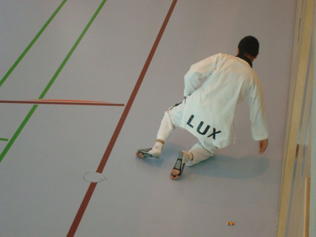 lausannepen_2011 7